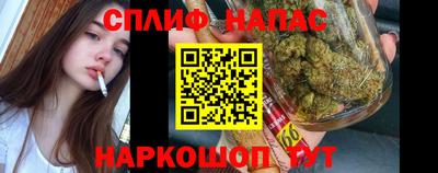 гидра Железногорск