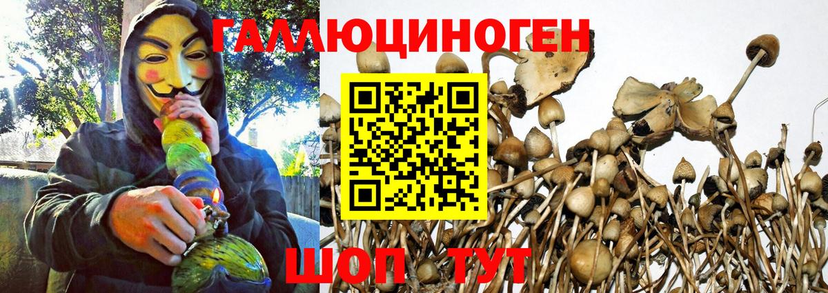Галлюциногенные грибы Magic Shrooms Алушта